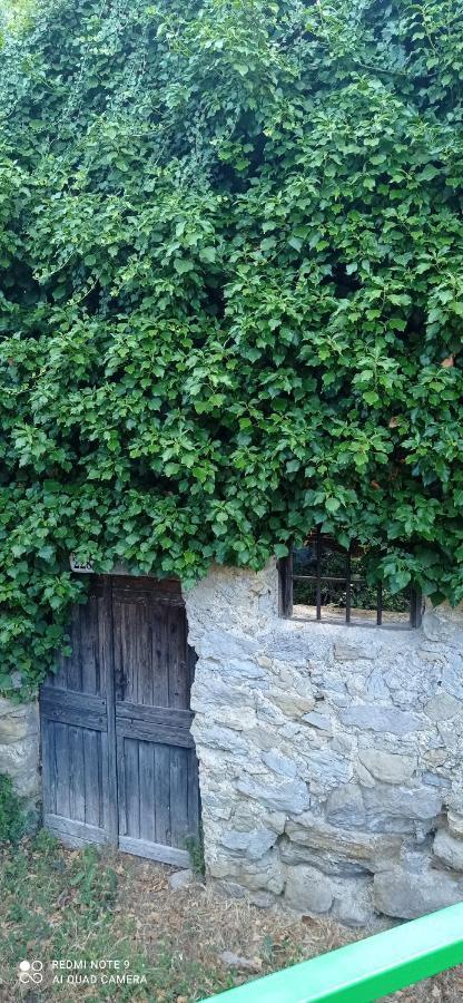 Agriturismo Vecchio Frantoio Villatella Buitenkant foto